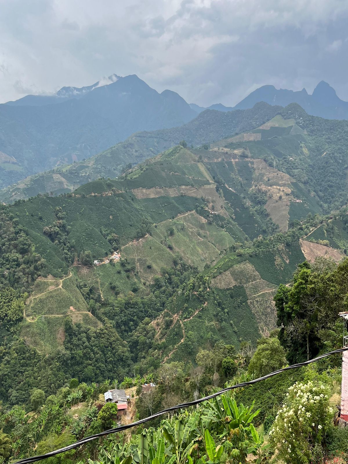 Laderas cafeteras de Antioquia bajo un cielo de nubes